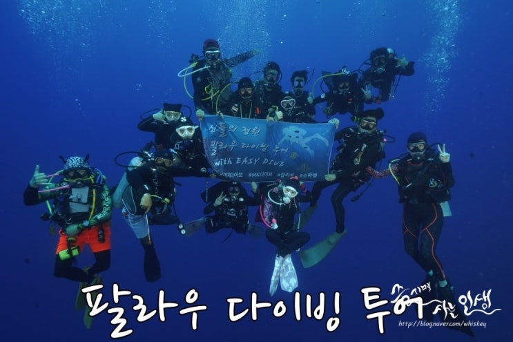  [팔라우 다이빙 투어] 이지다이브와 함께한 신들의 정원 투어(Prologue)