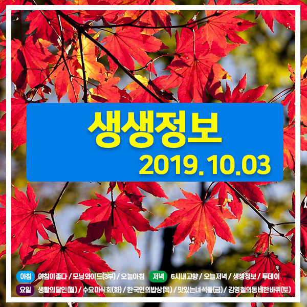 생생정보 20191003 (913) 제100회 전국체육대회 & 제39회 전국장애인체육대회 / 갯장어샤브샤브, 오리주물럭 / 별미 돌솥밥 4종, 오모가리탕/ 김용기 명과