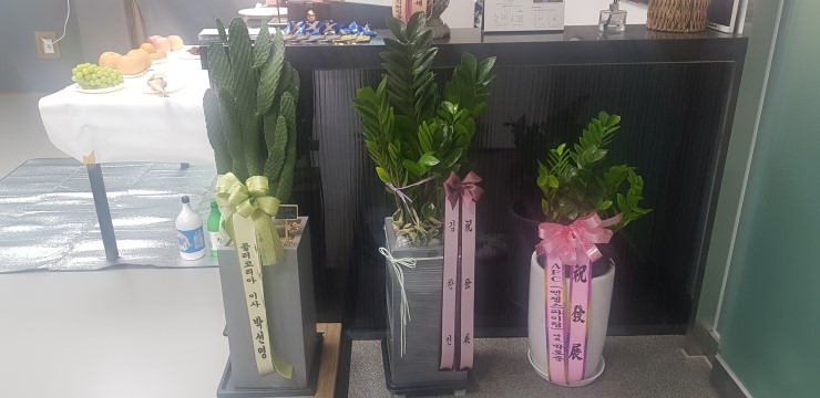  건대 체육관은 골든라이온으로 오세요~