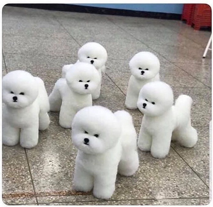  [9월일기] 첫 번째