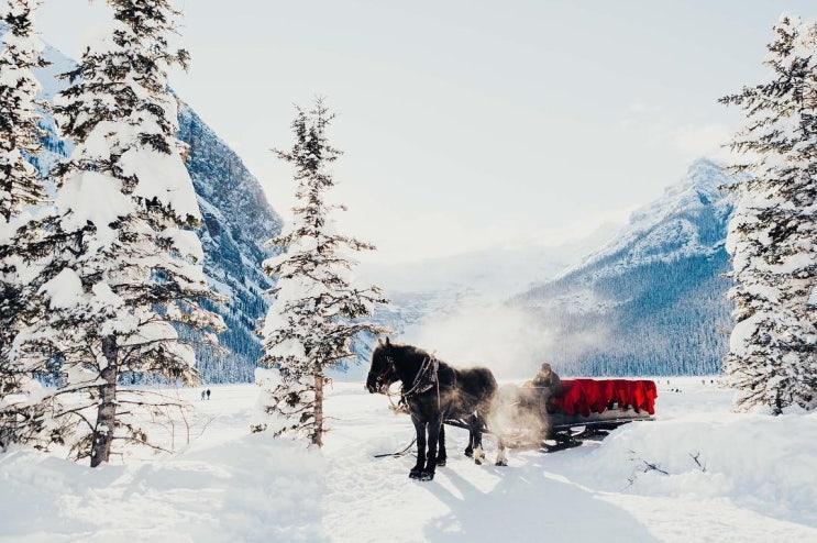캐나다 로키의 관문 도시, 밴프의 겨울 풍경
