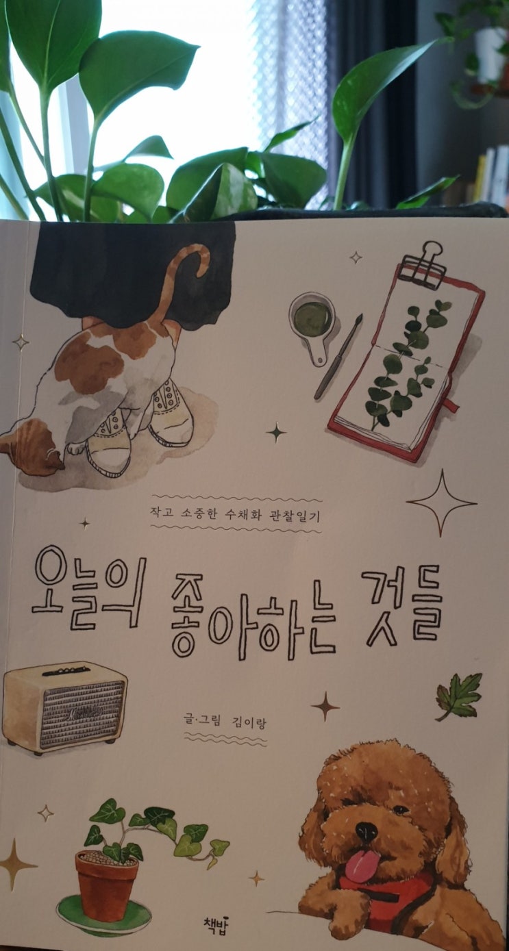  시시콜콜한 매일의 기록을 엿보고 싶다면 오늘 이 책 [오늘의 좋아하는 것들]