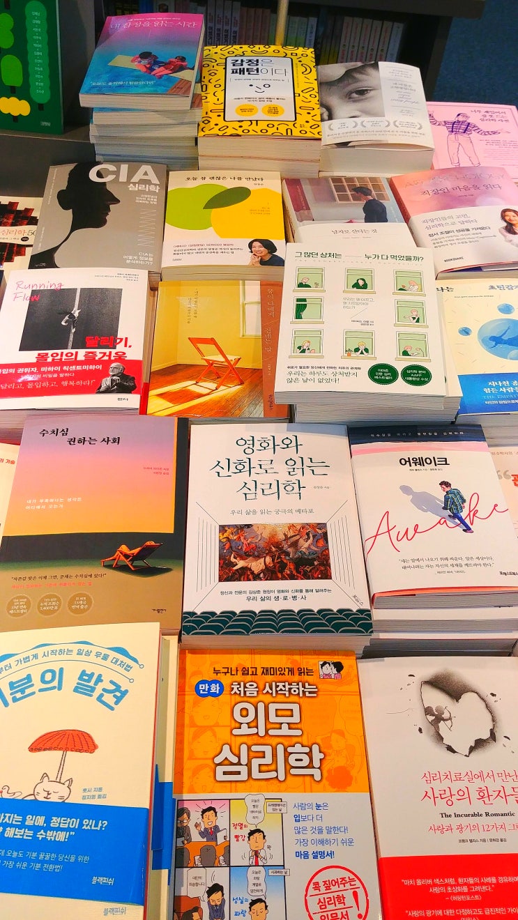  서점의 거울들