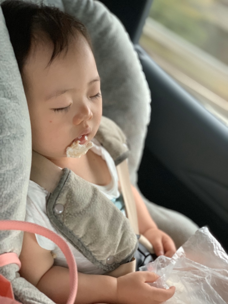  덕구온천 패키지 울진송이축제로 저렴하게 출발~