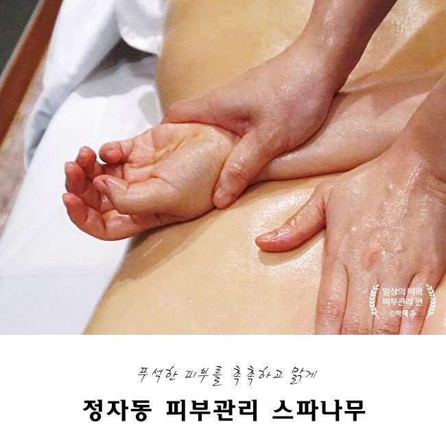  정자역 피부관리는 역시 스파나무