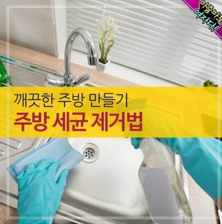 깨끗한 주방 만들기!주방 세균 제거법!!!