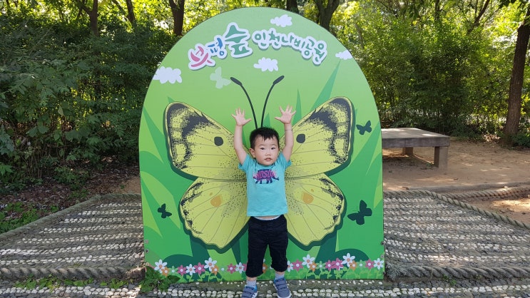  아이와갈만한곳 부평숲 인천나비공원 나들이가요!