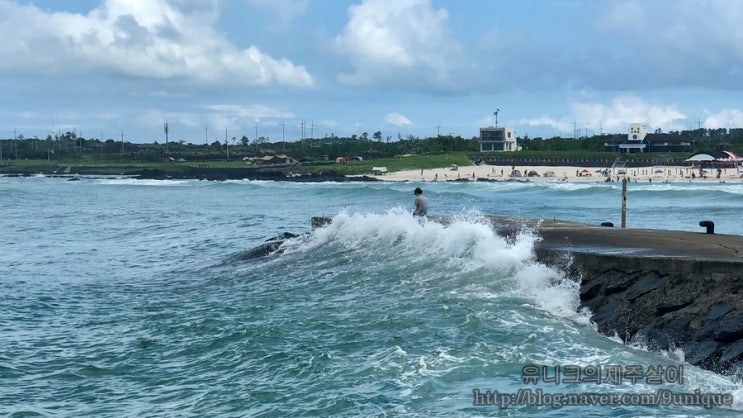  제주도 동쪽 코스 김녕세기알해변 제주 스노쿨링 포인트