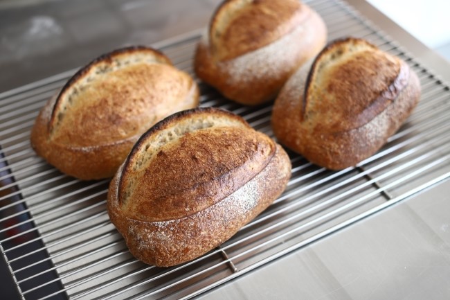  오후의빵집 < 매일 매일 사워도우 - 365 Sourdough > 4주과정 : 1기 모집
