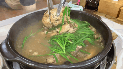 낙산사맛집 양양 소나무집약초백숙(With 닭죽) JMT