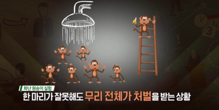  나쁜 관습에 빠진 원숭이가 똑똑해지는 법  <어떻게 읽을 것인가_고영성>