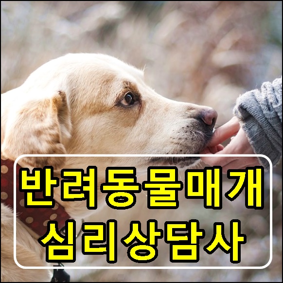  반려동물매개심리상담사 자격증 동물과의 교감으로