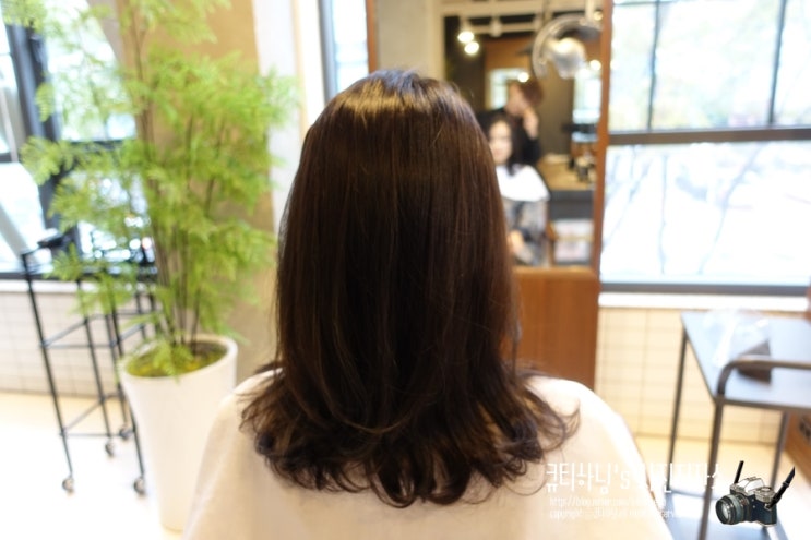  동탄미용실 가을맞이 톤다운염색 준오헤어 솔빛나루점 인후실장님 짱