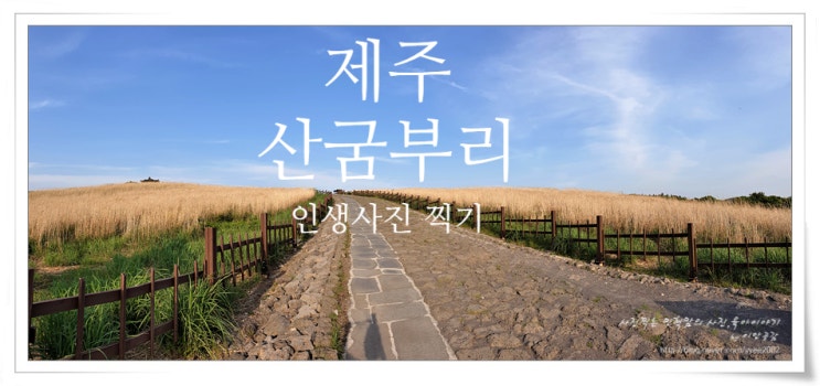  제주여행 추천, 제주 산굼부리 사진찍기 좋은 곳