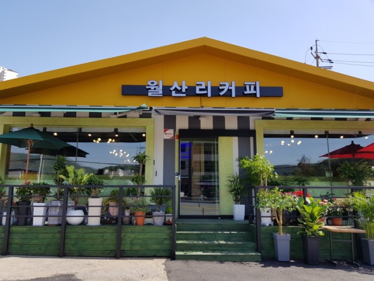  수제대추차 수제생강차  차맛집 월산리카페 수동카페 마석카페 제철 과일 수제청귤 감기 안녕 월산리커피 진수성찬 한식부페 맛집 더모임 월산리커피숍