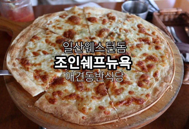  일산 애견동반식당 " 조인쉐프뉴욕 " 웨스턴돔피자 맛집 특별한 레스토랑