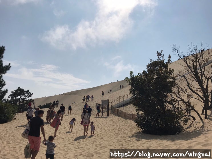  2019 남날부부 _ 보르도 근교 아르카숑