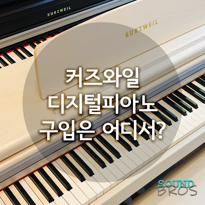  커즈와일 디지털피아노 구입은 어디서?