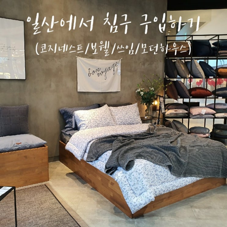  일산에서 침구 장만하기 (덕이동 코지네스트, 벨라시타 보웰/쓰임/모던하우스)