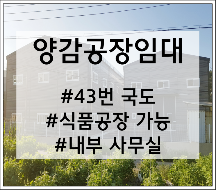  43번 국도 인근의 식품공장 허가 가능한 270평 신축 양감공장임대