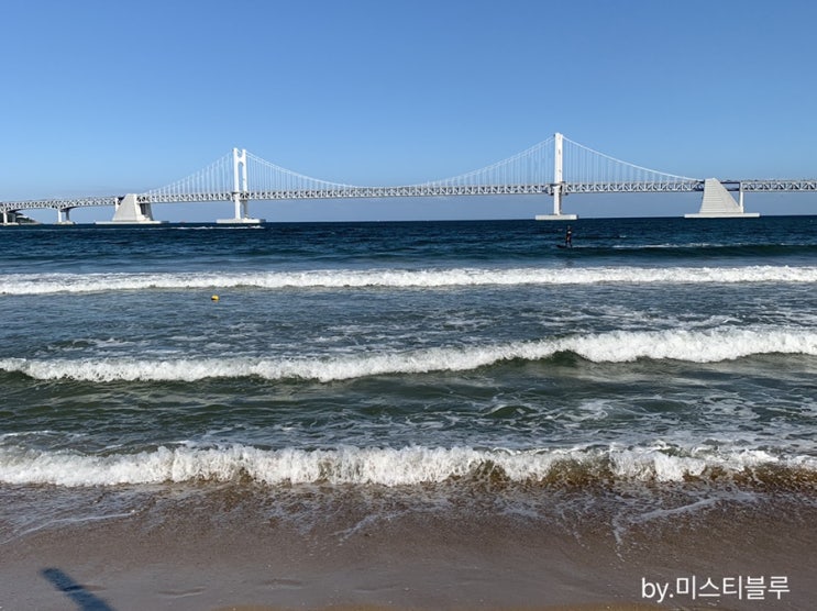  2019.09.01~09.30의 기록