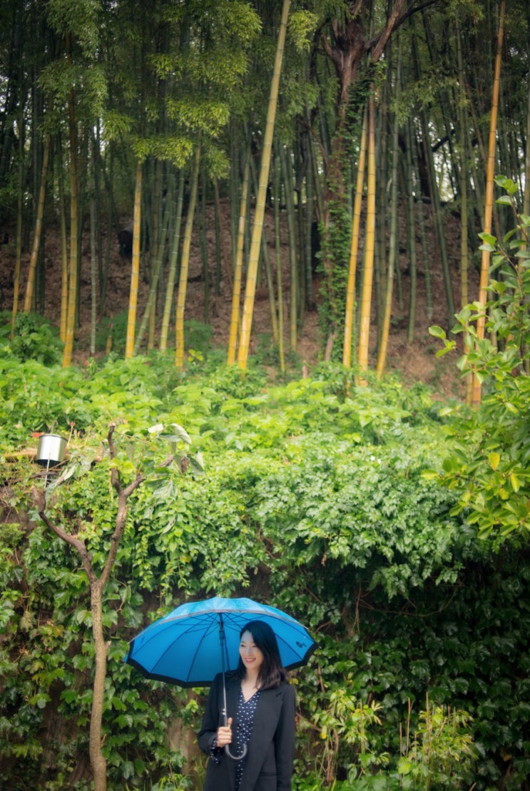 [군산당일치기]지린성▷NNNC▷군산과자조합▷영국빵집▷일제강점기 군산역사관▷삼거리매운탕▷미곡창고