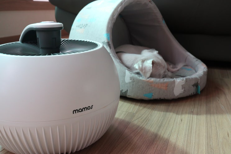  마모스 에코360 공기청정기, 원룸 사용에 딱!