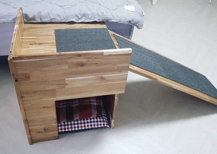  강아지 미끄럼틀집