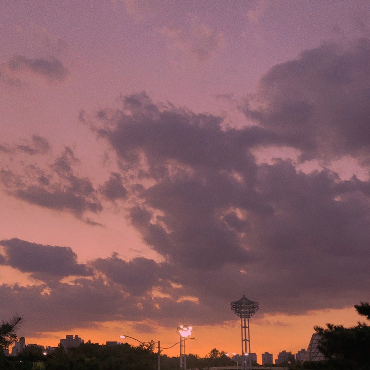 2019. 09