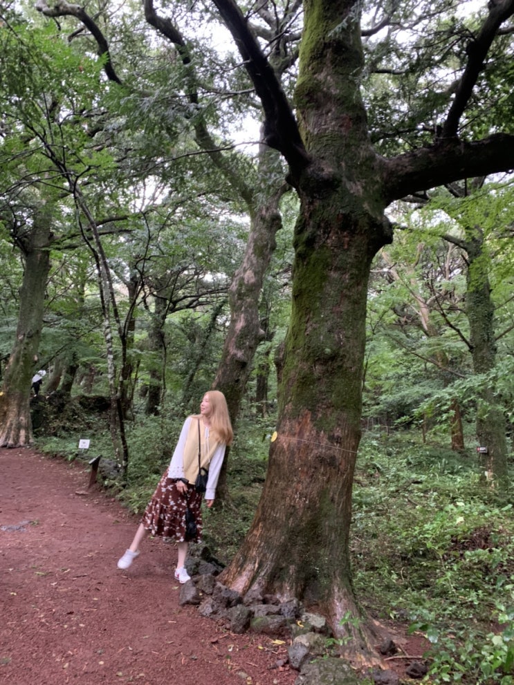  jeju vlog(2.2) - 21살 제주도 게스트하우스 스텝 / 제주도 한달살기 / 제주도살기 / 제주도맛집 /제주도마라탕 / 함덕 해수욕장 빠슈 마라탕 / 제주도 비자림
