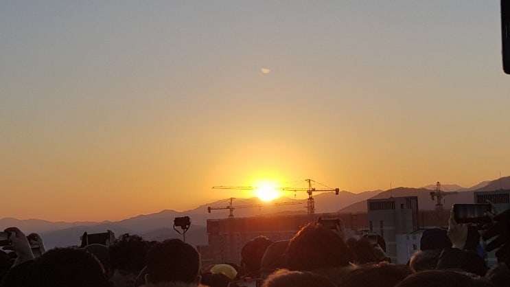  좀벌레 퇴치법 알아보기