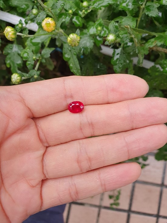  피죤블러드 미얀마 버마산 루비 2 ct 소개합니다.