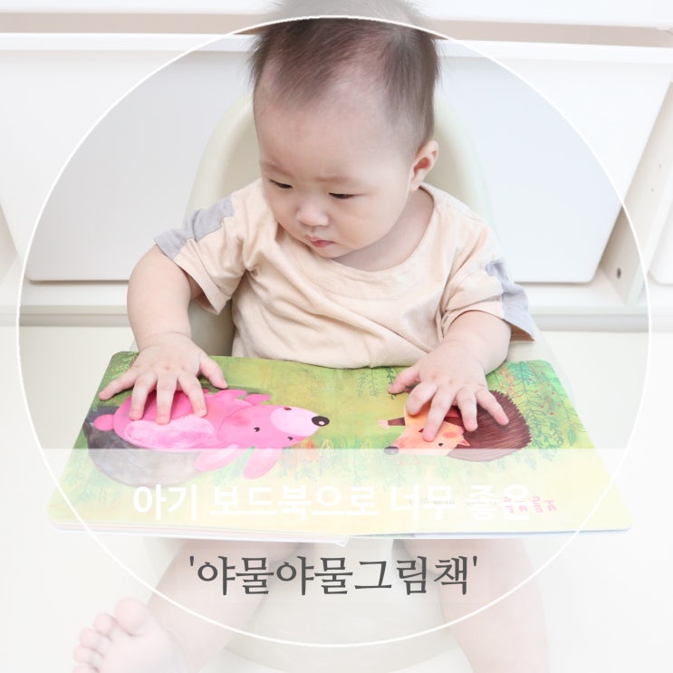  아기 보드북 야물야물그림책