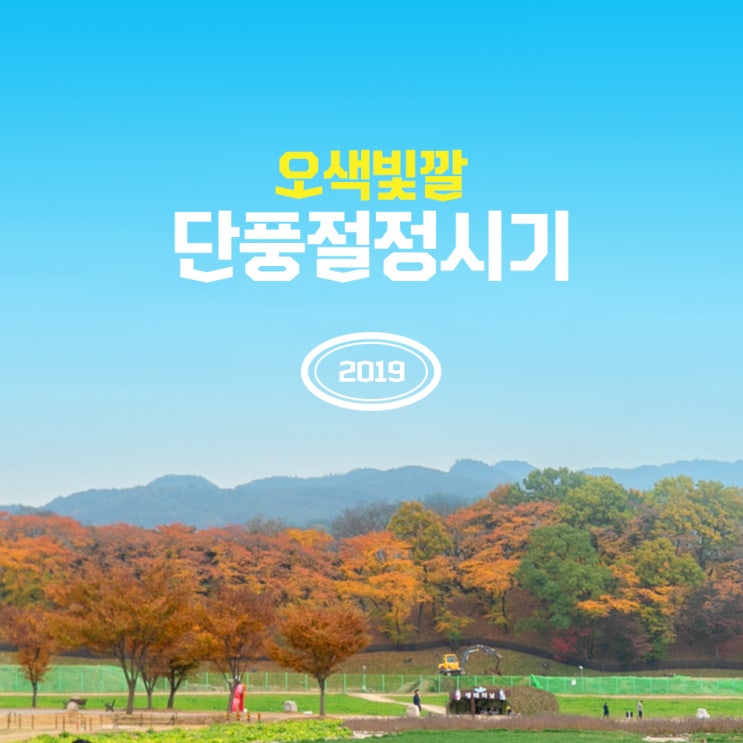  가을 여행 가기 전, 2019년 단풍절정시기 알아보기!