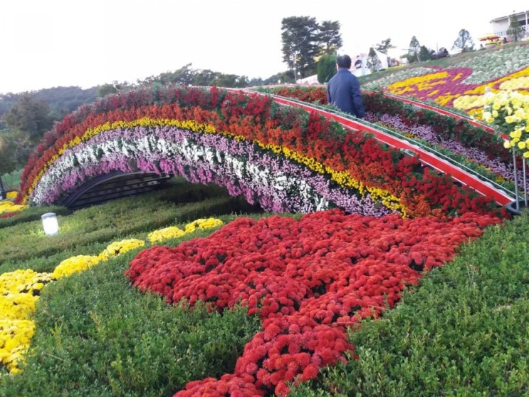  임실 제5회 임실치즈 축제 보러오세요