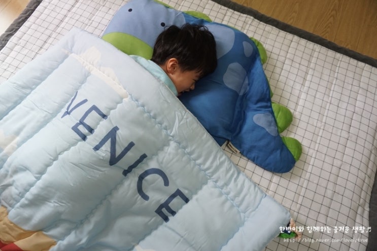  아기이불 프리미엄 차렵이불 밀로앤개비