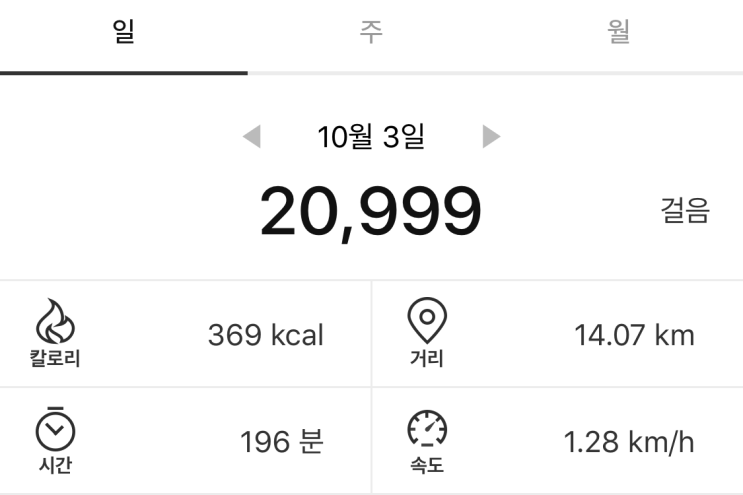  만보걷기 31일차 : 땀 한번 쭉 빼기!