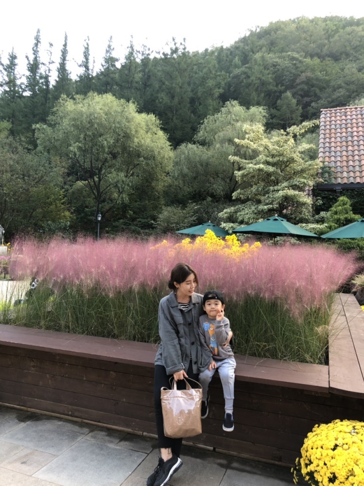  춘천 제이드가든 / 강촌 우미숯불닭갈비