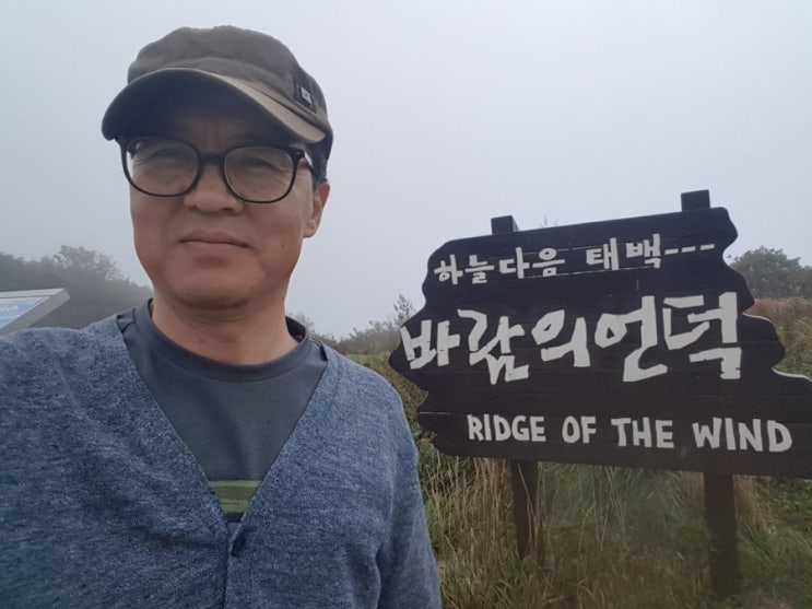  태백 바람의언덕 비오는 날 올라왔어요