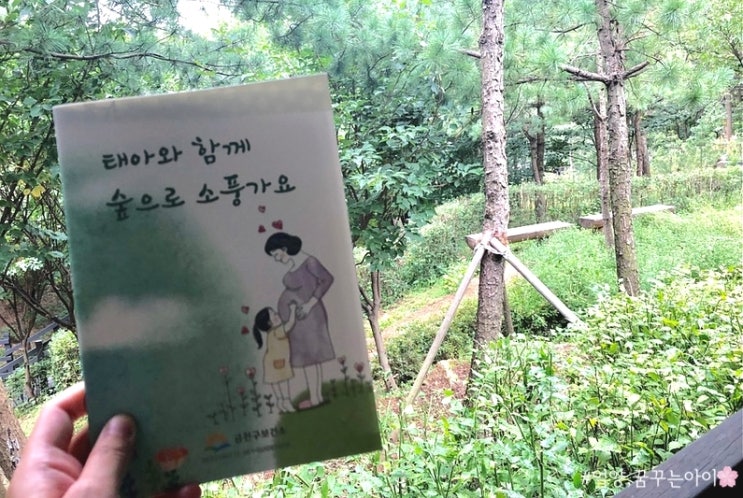  임신 8개월, 임신 28주 임산부 일상 매주 숲태교에 다니고 있어요c 지자체 산모교실, 태교프로그램 추천
