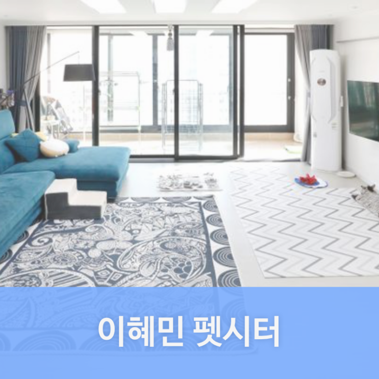  기흥구 서천동 펫시터 이혜민님을 소개합니다. | 서천동 애견호텔, 애견유치원, 강아지유치원, 강아지호텔 찾는다면 펫플래닛