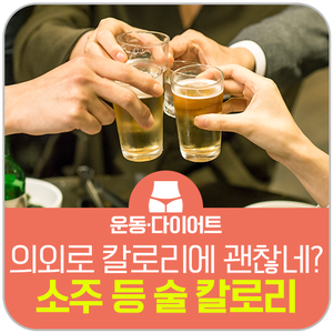  소주, 맥주, 막걸리 등 술 칼로리 알아보기 feat. 살 덜 찌는 안주