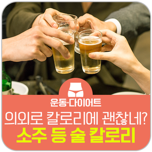 소주, 맥주, 막걸리 등 술 칼로리 알아보기 feat. 살 덜 찌는 안주