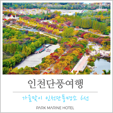  도심과 섬으로 떠나는 인천단풍여행 | 가을맞이 인천단풍명소 6선