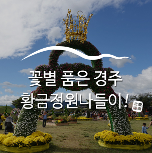  경북 최초, 경주 최초의 농업정원 전시, 꽃별 품은 경주 황금정원나들이 :: 경주, 경주농업정원전시, 경주황금정원나들이, 경북가볼만한곳
