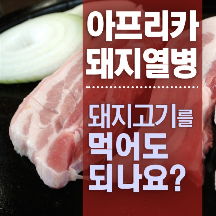  아프리카 돼지열병 증상, 고기를 먹어도 될까요? (삼겹살 족발)