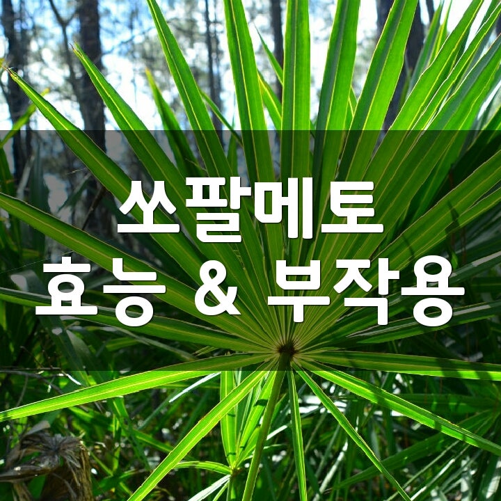 소파르메트 효능 알아보고 옥타코사놀 영양제 뉴롤랩스메트큐 선택 소파르메트 효능 알아보고 옥타코사놀 영양제 뉴롤랩스메트큐 선택