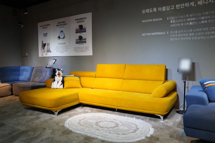  아쿠아클린소파 특별한전문점