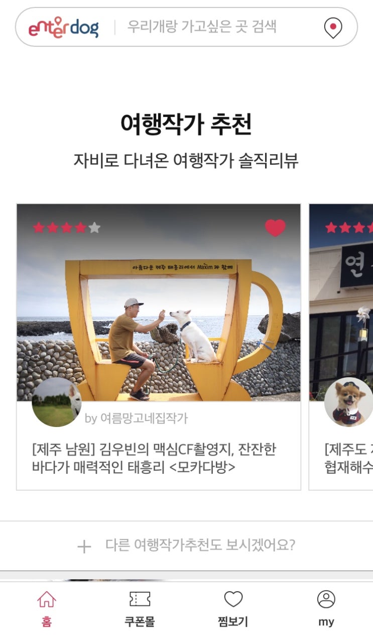  반려견 동반 여행 필수앱 : 엔터독 5기 서포터즈 활동종료