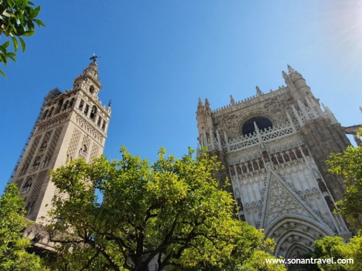 스페인여행 :: 세비야 대성당과 플라멩고, 그리고 야경